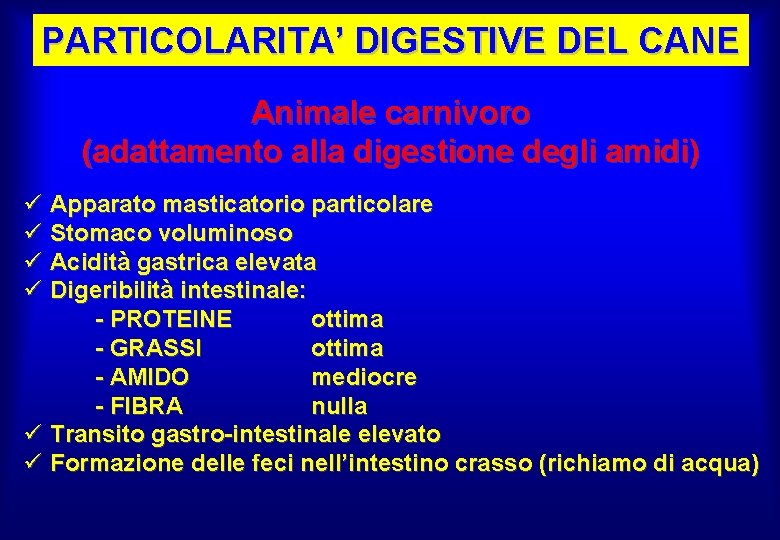 PARTICOLARITA’ DIGESTIVE DEL CANE Animale carnivoro (adattamento alla digestione degli amidi) ü Apparato masticatorio