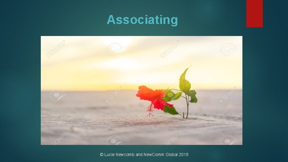 Associating © Lucie Newcomb and New. Comm Global 2018 