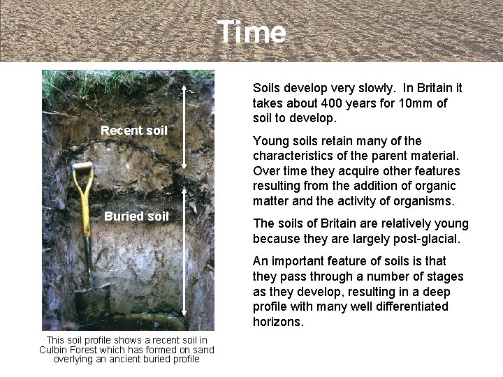 Time Recent soil Buried soil Soils develop very slowly. In Britain it takes about