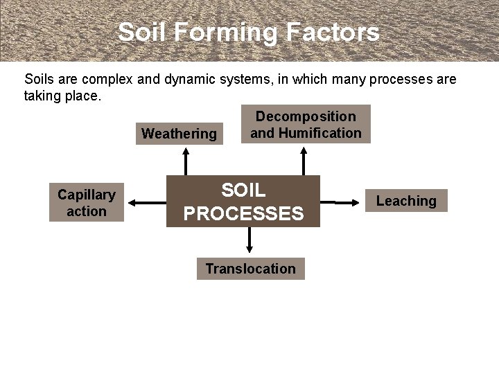 Soil Forming Factors Soils are complex and dynamic systems, in which many processes are