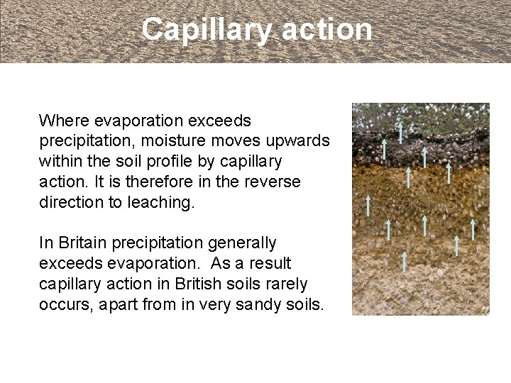 Capillary action Where evaporation exceeds precipitation, moisture moves upwards within the soil profile by