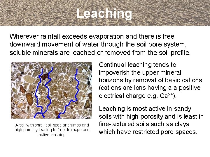 Leaching Wherever rainfall exceeds evaporation and there is free downward movement of water through