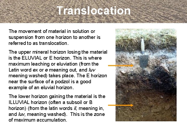 Translocation The movement of material in solution or suspension from one horizon to another