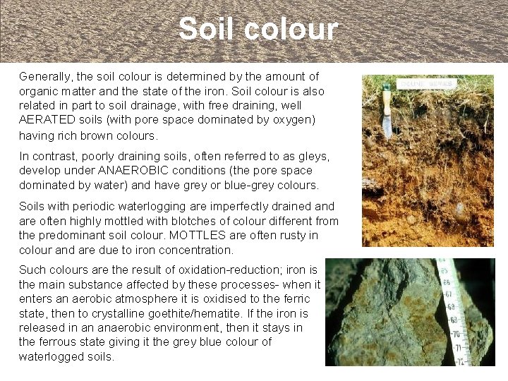 Soil colour Generally, the soil colour is determined by the amount of organic matter
