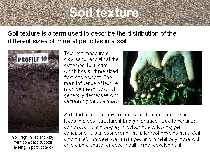 Soil texture is a term used to describe the distribution of the different sizes