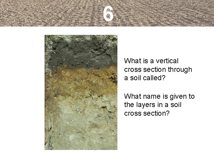 6 What is a vertical cross section through a soil called? What name is