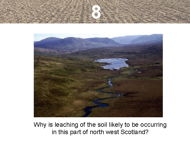 8 Why is leaching of the soil likely to be occurring in this part