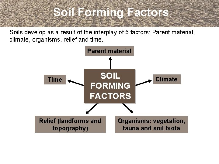 Soil Forming Factors Soils develop as a result of the interplay of 5 factors;