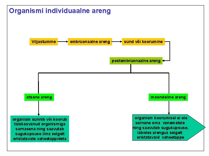 Organismi individuaalne areng Viljastumine embrüonaalne areng sünd või koorumine postembrüonaalne areng otsene areng organism Organismi individuaalne areng Viljastumine embrüonaalne areng sünd või koorumine postembrüonaalne areng otsene areng organism