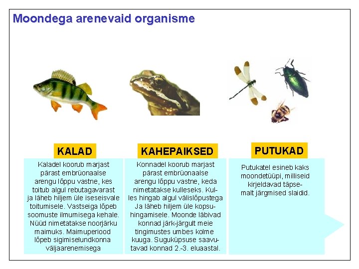 Moondega arenevaid organisme KALAD Kaladel koorub marjast pärast embrüonaalse arengu lõppu vastne, kes toitub Moondega arenevaid organisme KALAD Kaladel koorub marjast pärast embrüonaalse arengu lõppu vastne, kes toitub