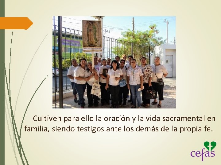 Cultiven para ello la oración y la vida sacramental en familia, siendo testigos ante