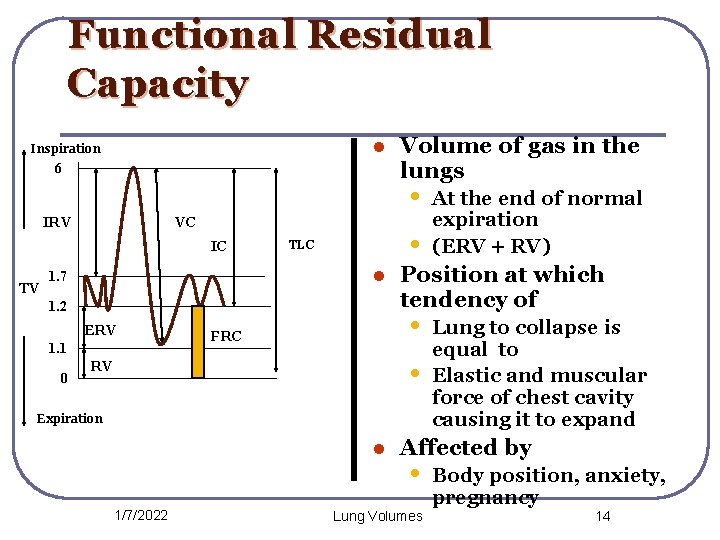 Functional Residual Capacity l Inspiration 6 Volume of gas in the lungs • VC