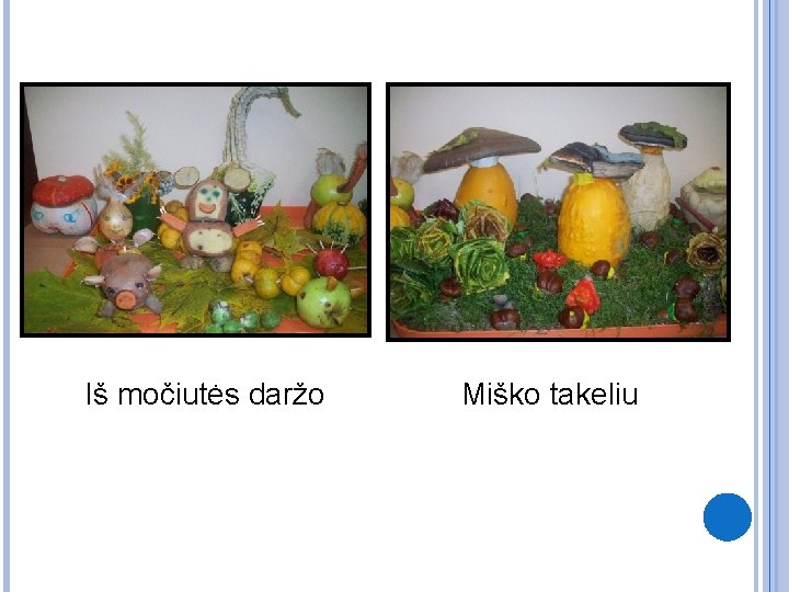 Iš močiutės daržo Miško takeliu 