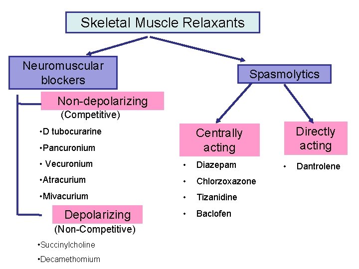 Skeletal Muscle Relaxants Neuromuscular blockers Spasmolytics Non-depolarizing (Competitive) • D tubocurarine • Pancuronium •