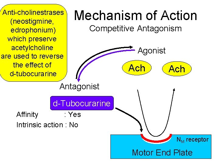 Anti-cholinestrases (neostigmine, edrophonium) which preserve acetylcholine are used to reverse the effect of d-tubocurarine