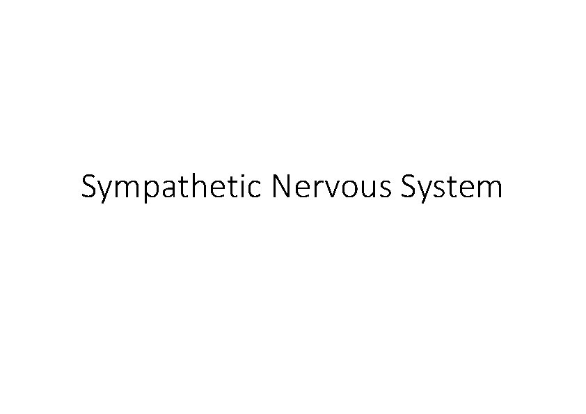 Sympathetic Nervous System 