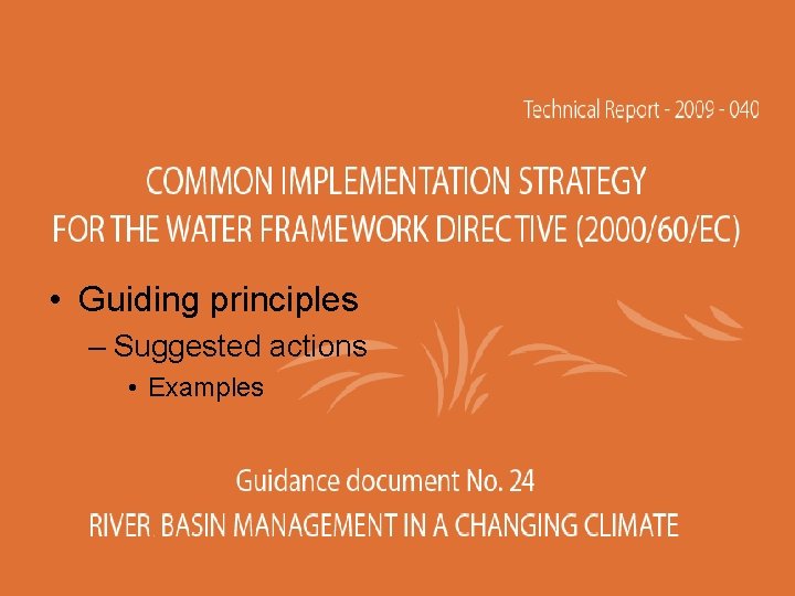 • Guiding principles – Suggested actions • Examples 28 May 2013 Conference JRC • Guiding principles – Suggested actions • Examples 28 May 2013 Conference JRC
