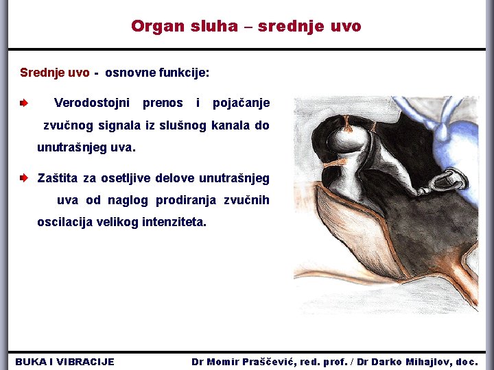 Organ sluha – srednje uvo Srednje uvo - osnovne funkcije: Verodostojni prenos i pojačanje