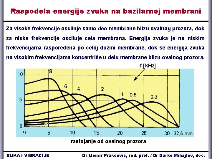 Raspodela energije zvuka na bazilarnoj membrani Za visoke frekvencije osciluje samo deo membrane blizu