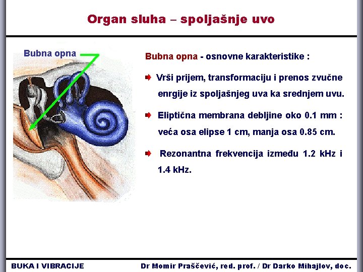 Organ sluha – spoljašnje uvo Bubna opna - osnovne karakteristike : Vrši prijem, transformaciju