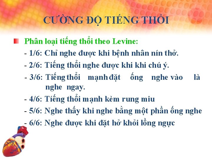 CƯỜNG ĐỘ TIẾNG THỔI Phân loại tiếng thổi theo Levine: - 1/6: Chỉ nghe