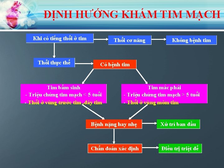 ĐỊNH HƯỚNG KHÁM TIM MẠCH Khi có tiếng thổi ở tim Thổi thực thể