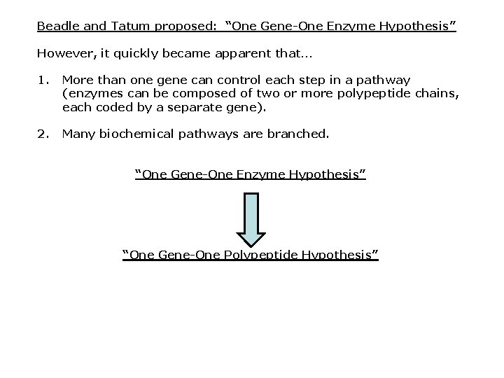 Beadle and Tatum proposed: “One Gene-One Enzyme Hypothesis” However, it quickly became apparent that… Beadle and Tatum proposed: “One Gene-One Enzyme Hypothesis” However, it quickly became apparent that…