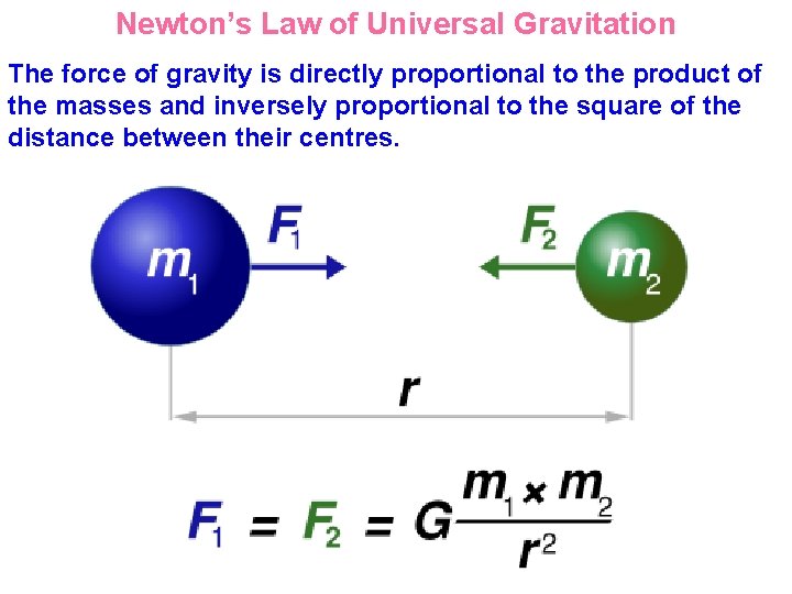 Newton’s Law of Universal Gravitation The force of gravity is directly proportional to the