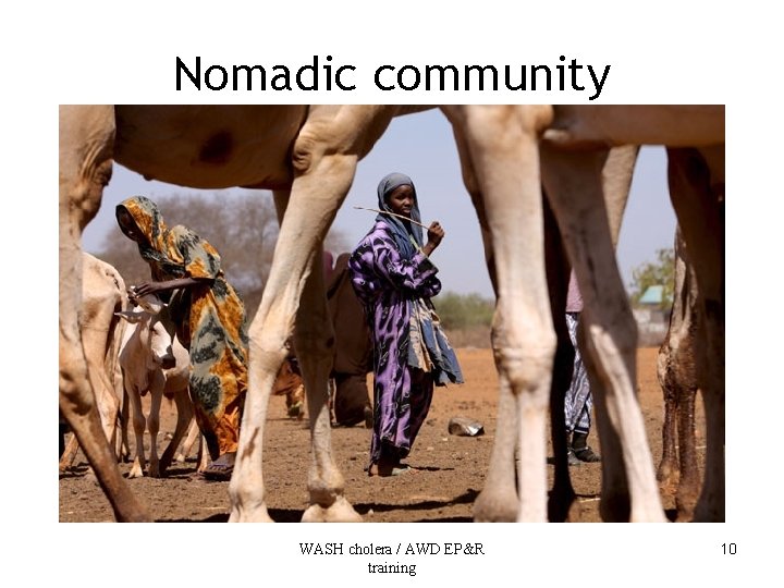 Nomadic community WASH cholera / AWD EP&R training 10 