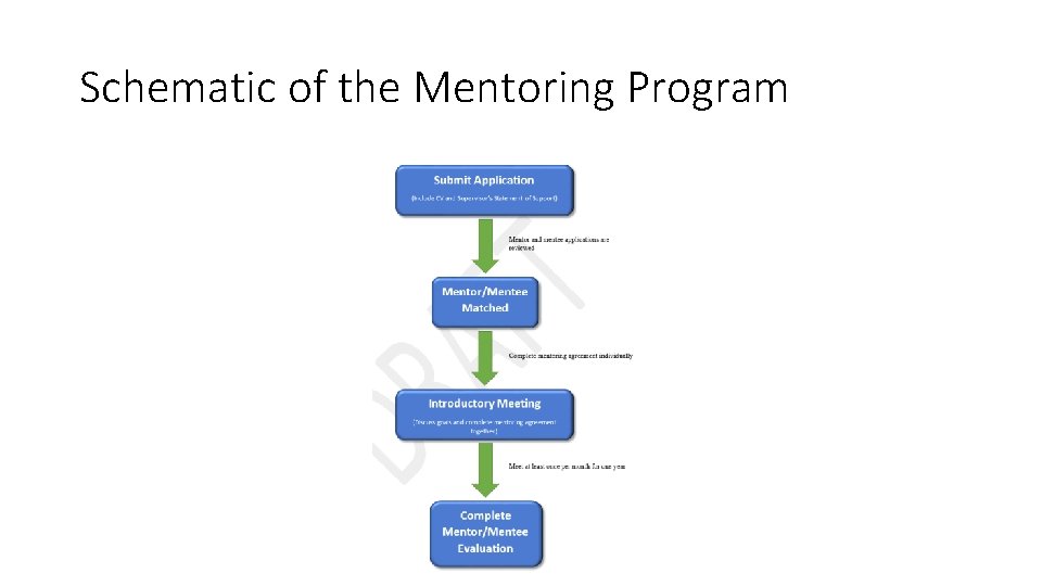 Schematic of the Mentoring Program 