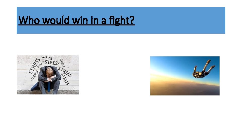 Who would win in a fight? 