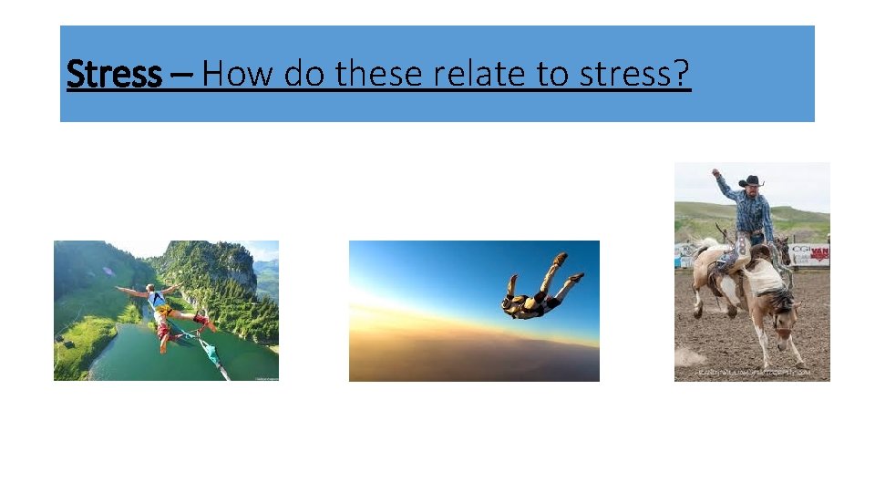 Stress – How do these relate to stress? 