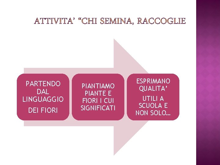 PARTENDO DAL LINGUAGGIO DEI FIORI PIANTIAMO PIANTE E FIORI I CUI SIGNIFICATI ESPRIMANO QUALITA’