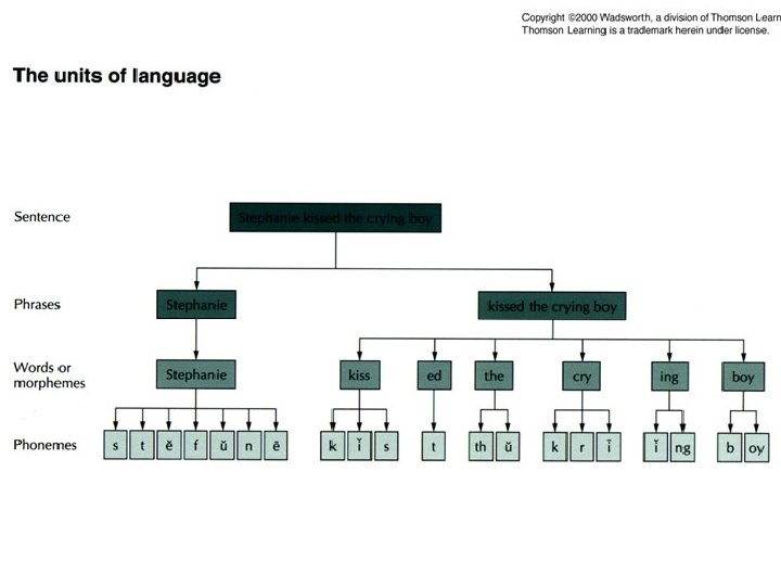 Pic: Units of Language 