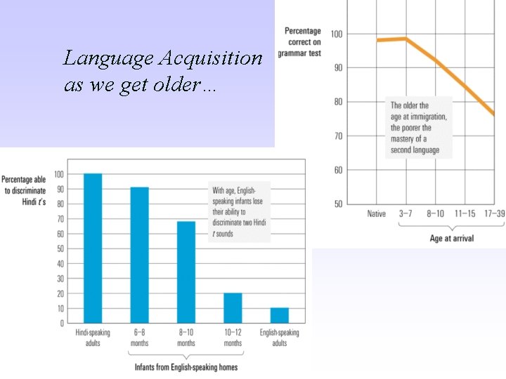 Language Acquisition as we get older… 