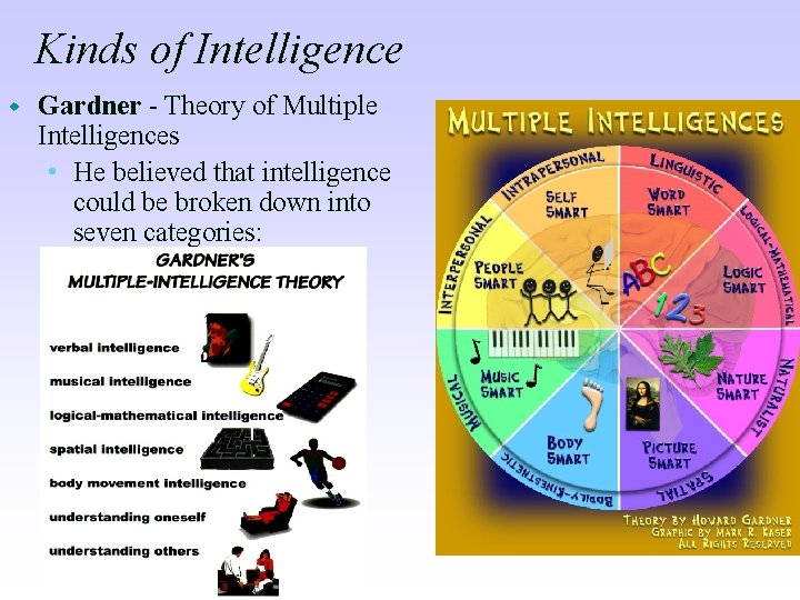 Kinds of Intelligence w Gardner - Theory of Multiple Intelligences • He believed that