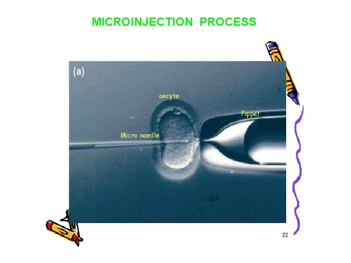 MICROINJECTION PROCESS 