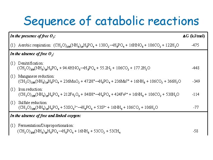 Sequence of catabolic reactions In the presence of free O 2: (1) Aerobic respiration: