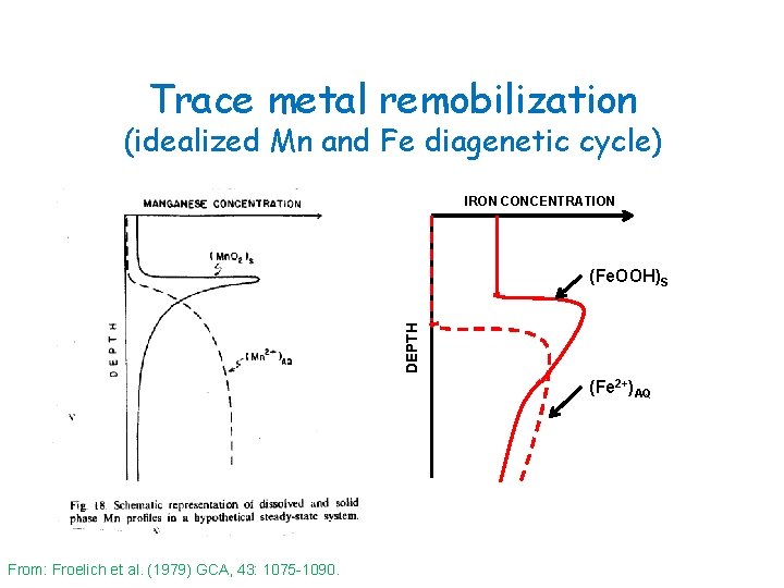 Trace metal remobilization (idealized Mn and Fe diagenetic cycle) IRON CONCENTRATION DEPTH (Fe. OOH)S