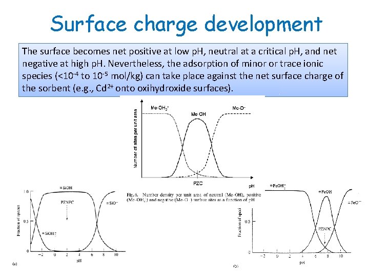 Surface charge development The surface becomes net positive at low p. H, neutral at
