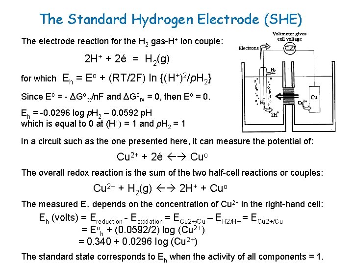 The Standard Hydrogen Electrode (SHE) The electrode reaction for the H 2 gas-H+ ion