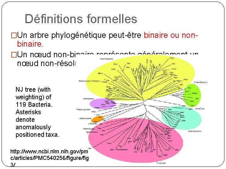 Définitions formelles �Un arbre phylogénétique peut-être binaire ou non- binaire. �Un nœud non-binaire représente