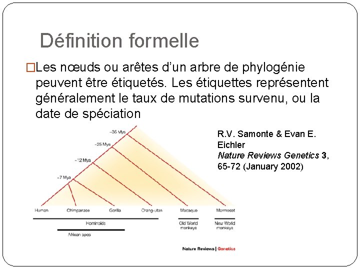 Définition formelle �Les nœuds ou arêtes d’un arbre de phylogénie peuvent être étiquetés. Les