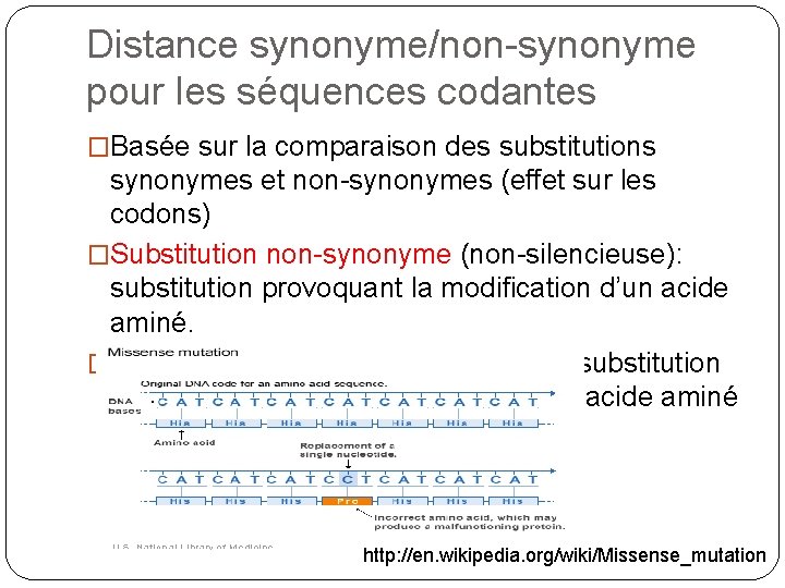 Distance synonyme/non-synonyme pour les séquences codantes �Basée sur la comparaison des substitutions synonymes et