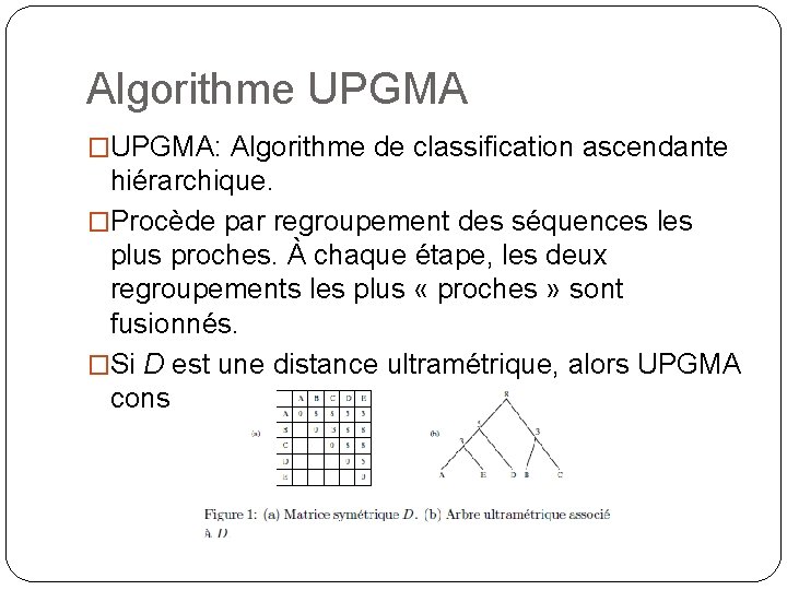 Algorithme UPGMA �UPGMA: Algorithme de classification ascendante hiérarchique. �Procède par regroupement des séquences les