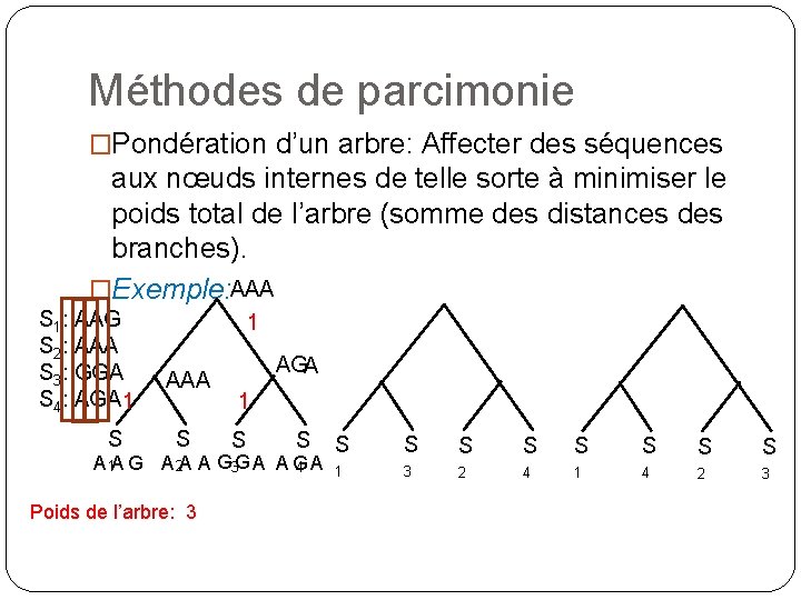 Méthodes de parcimonie �Pondération d’un arbre: Affecter des séquences aux nœuds internes de telle