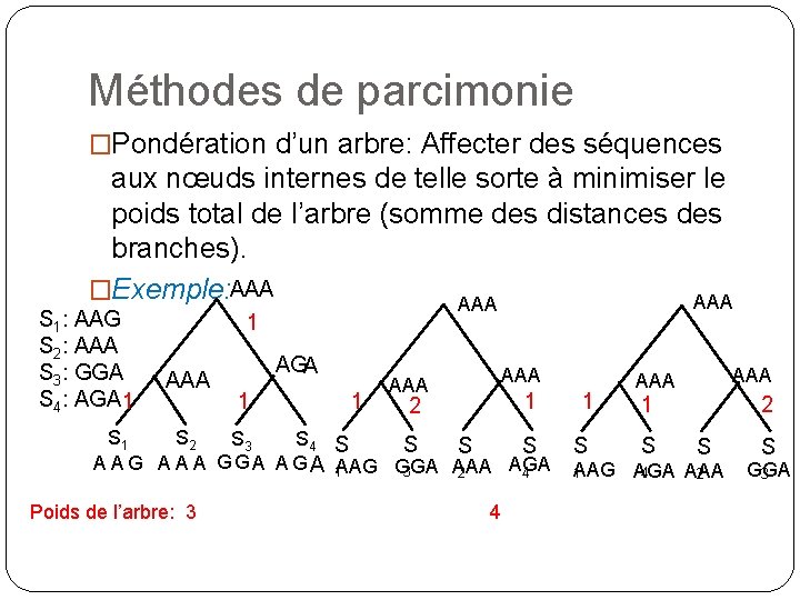 Méthodes de parcimonie �Pondération d’un arbre: Affecter des séquences aux nœuds internes de telle