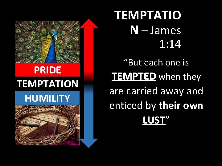 TEMPTATIO N – James 1: 14 PRIDE TEMPTATION HUMILITY “But each one is TEMPTED