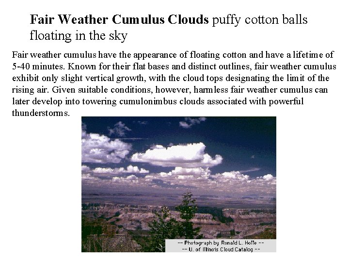 Fair Weather Cumulus Clouds puffy cotton balls floating in the sky Fair weather cumulus