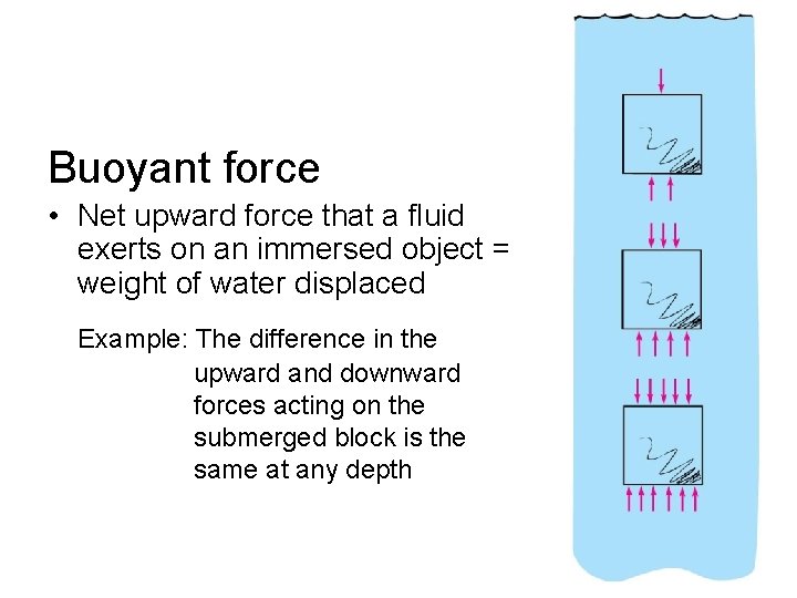 Buoyant force • Net upward force that a fluid exerts on an immersed object